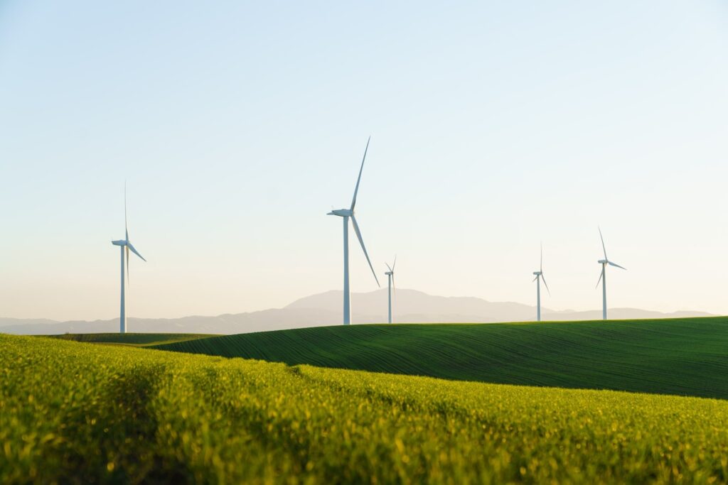 CSR Holding: il partner per un mondo più responsabile